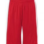 Premium Unisex Zone Performance Reversible Shorts